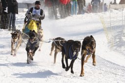 Lenk 2012 SM